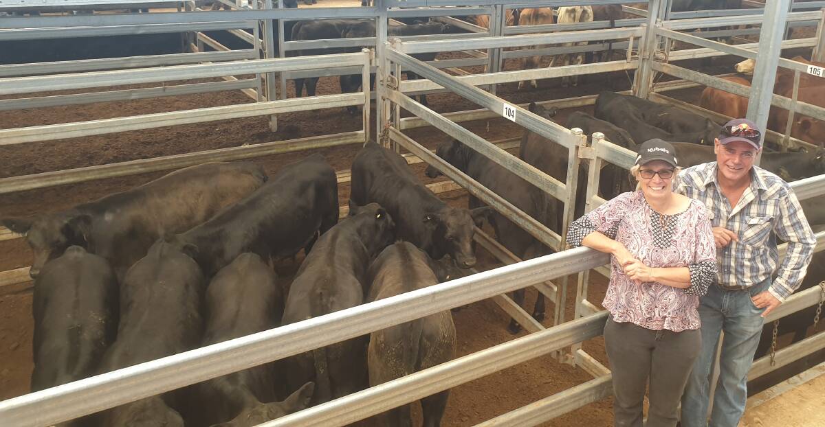 Lisa and Kevin Buggy, Keira, Tamworth, sold 256 kilogram Angus steers for 610 cents a kilogram at the Tamworth prime cattle sale on Monday. Photo: Michelle Mawhinney