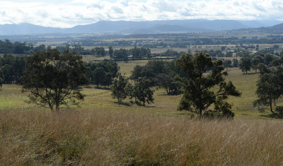The green tinge to Hunter Valley paddocks which was evident in this photo taken in June has all but disappeared as August winds dry out the landscape.