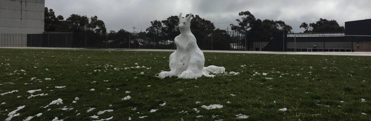 Cold enough for kangaroos to freeze! Picture by Andrew Norris of a snowy sculpture in Orange during the weekend.