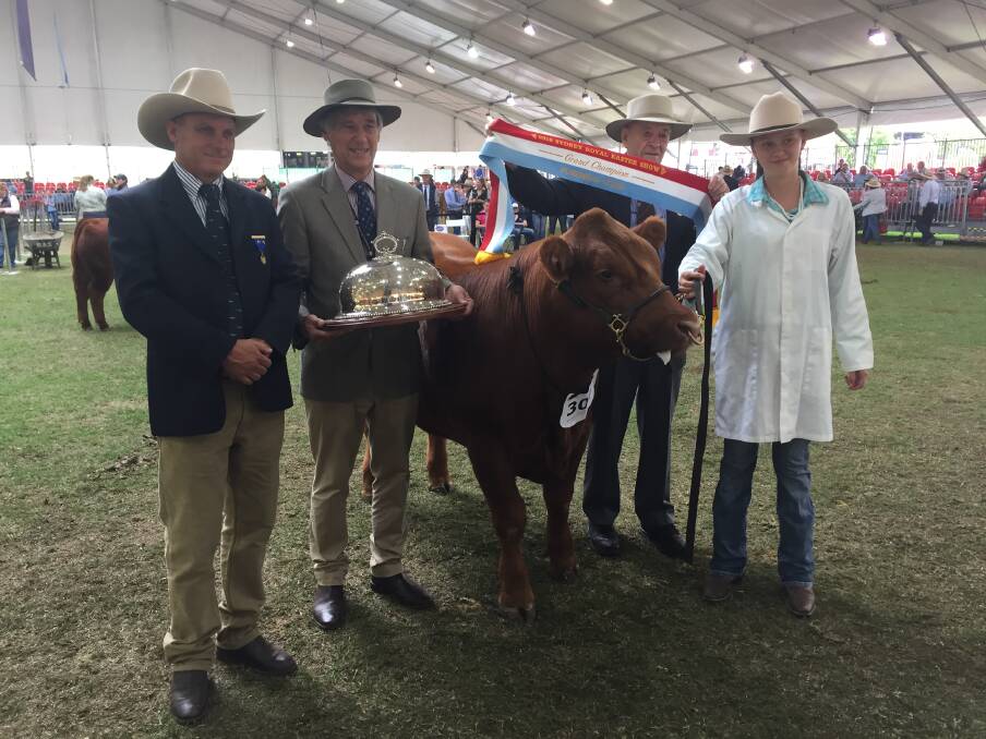 The grand champion steer exhibited by St John's College, Dubbo, and bred by the Kirk family, Rylstone. Pictured with the steer is the judge Craig Price, Kilcoy, Queensland; Ian Coghlan, Gerogery; Frank King, Tamworth, and Montana Hinton, Dubbo.