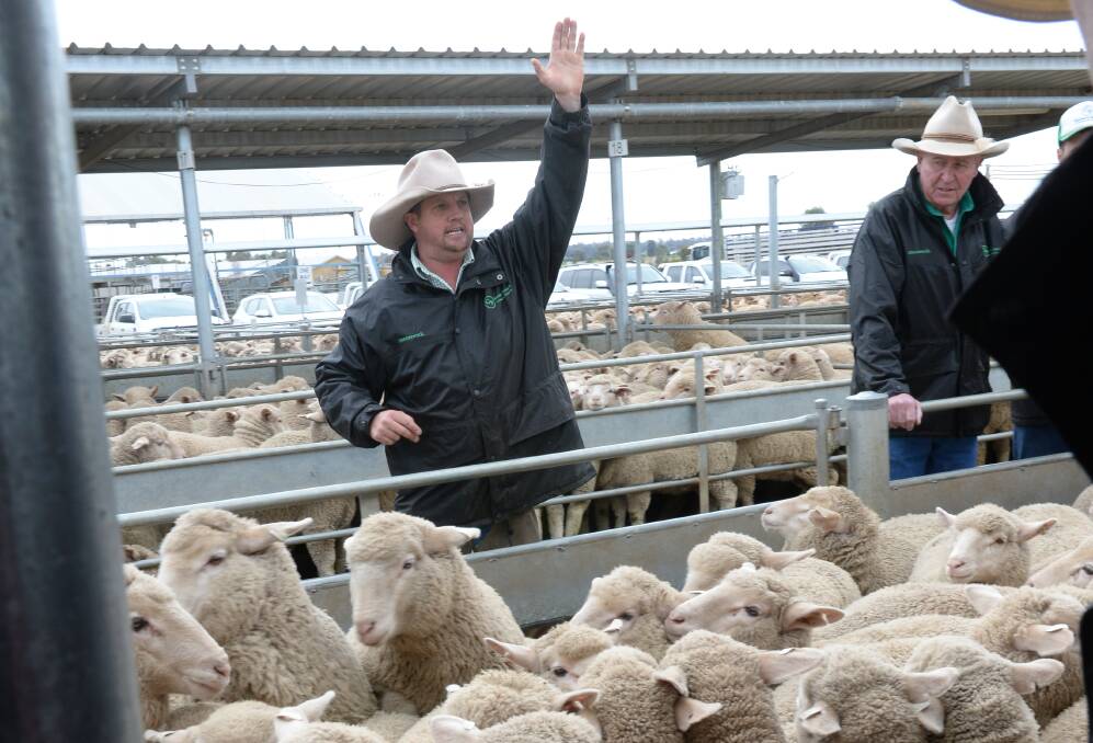 Gerrard Partners auctioneer Mark Jolliffe, Young, selling at the Forbes prime lamb sale on Tuesday.