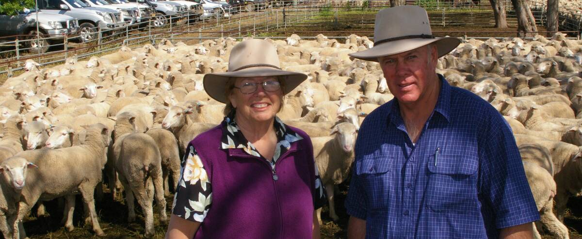 Barbara and David Butcher, "Bronte", Mossgiel, with their $274 a head young ewes sold at the Hay sheep sale last week. Photo by Murray Arnel.