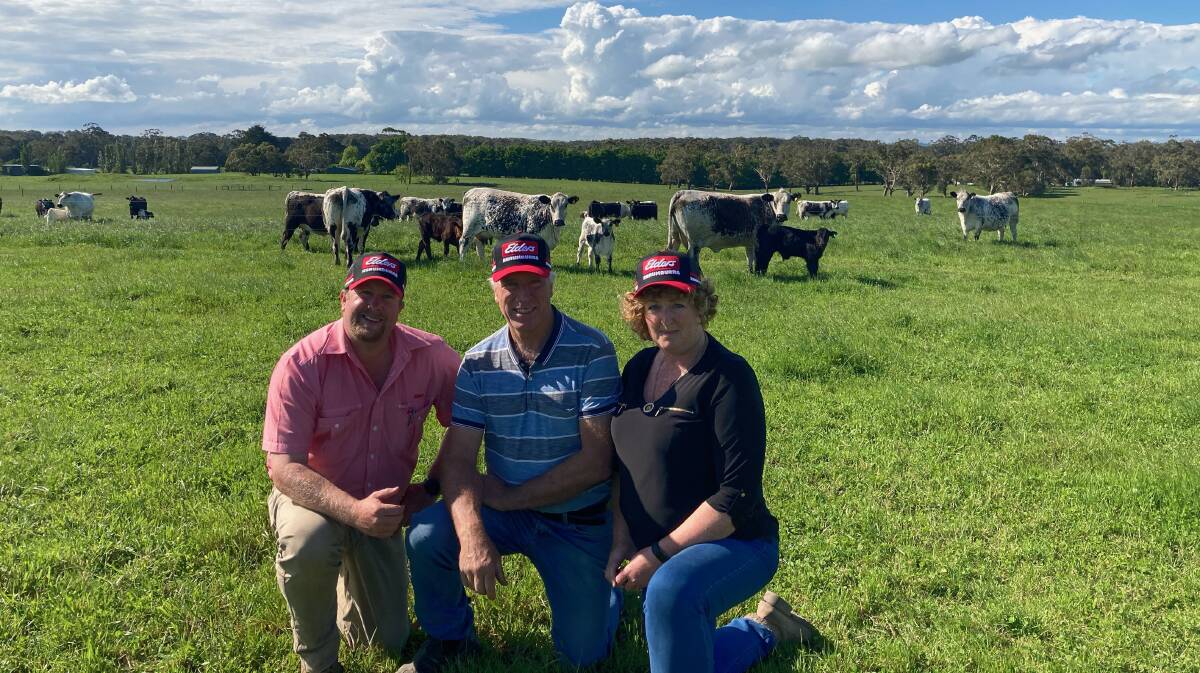 Elders Korumburra agent Alex Dixon with Dale and Robyn Scott, Gippsland, Victoria, who sold Speckle Park cows with calves for a top of $5580 and average of $4034 on AuctionsPlus last week.