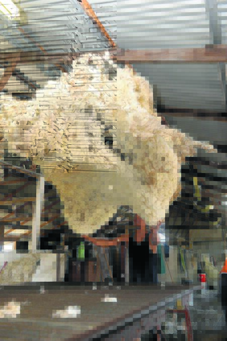 Wool hits five-year high
