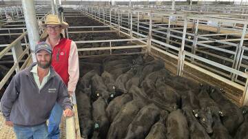 Gilmandyke Pastoral, Kangaroobie, Orange, sold a run of about 1000 weaner steers and heifers at the Central Tablelands Livestock Exchange Blue Ribbon Weaner Sale last Friday. Their top pen of 58 306kg, July/September-drop Angus steers sold for $1265 a head and is with Gilmandyke general manger Wade Peatman and Bowyer and Livermore agent Todd Clements. Picture by Karen Bailey.