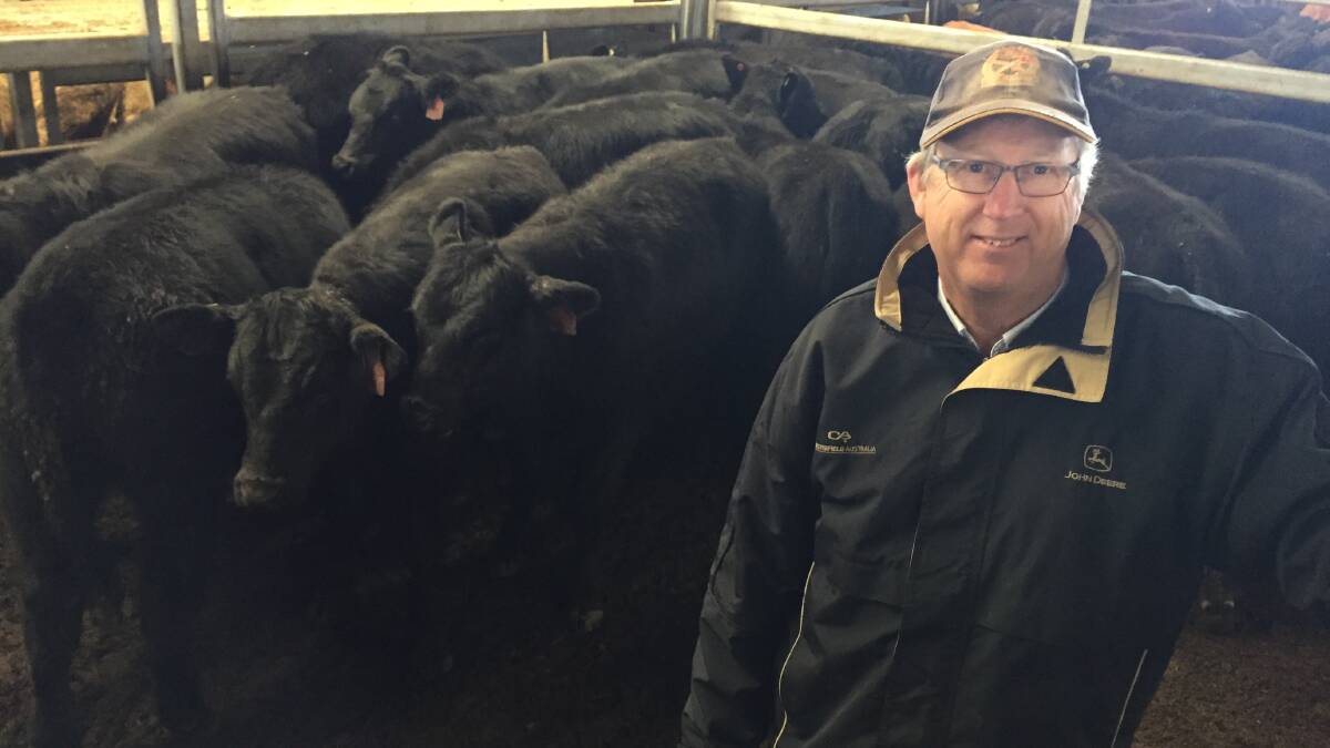 Chris Hogendyk, Orange, sold 307 kilogram Angus steers for $1190 at the Central Tablelands Livestock Exchange (CTLX), Carcoar, on Friday.
