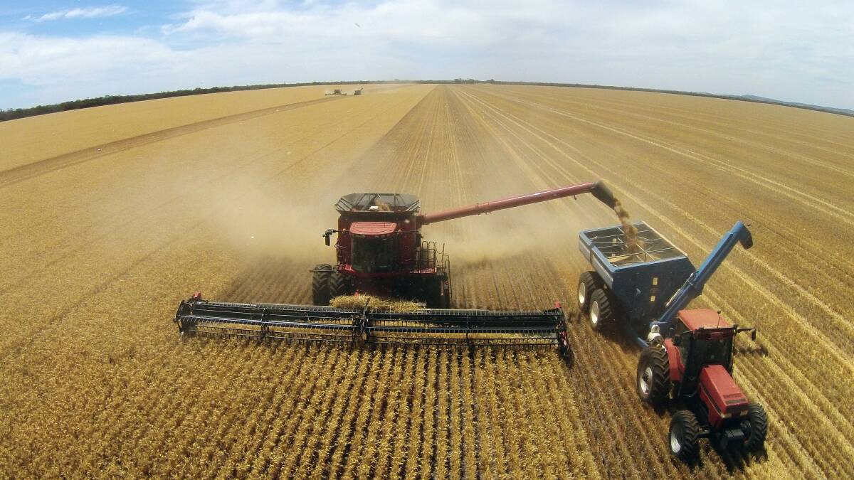 Grain Wrap | Harvest rush before the rain