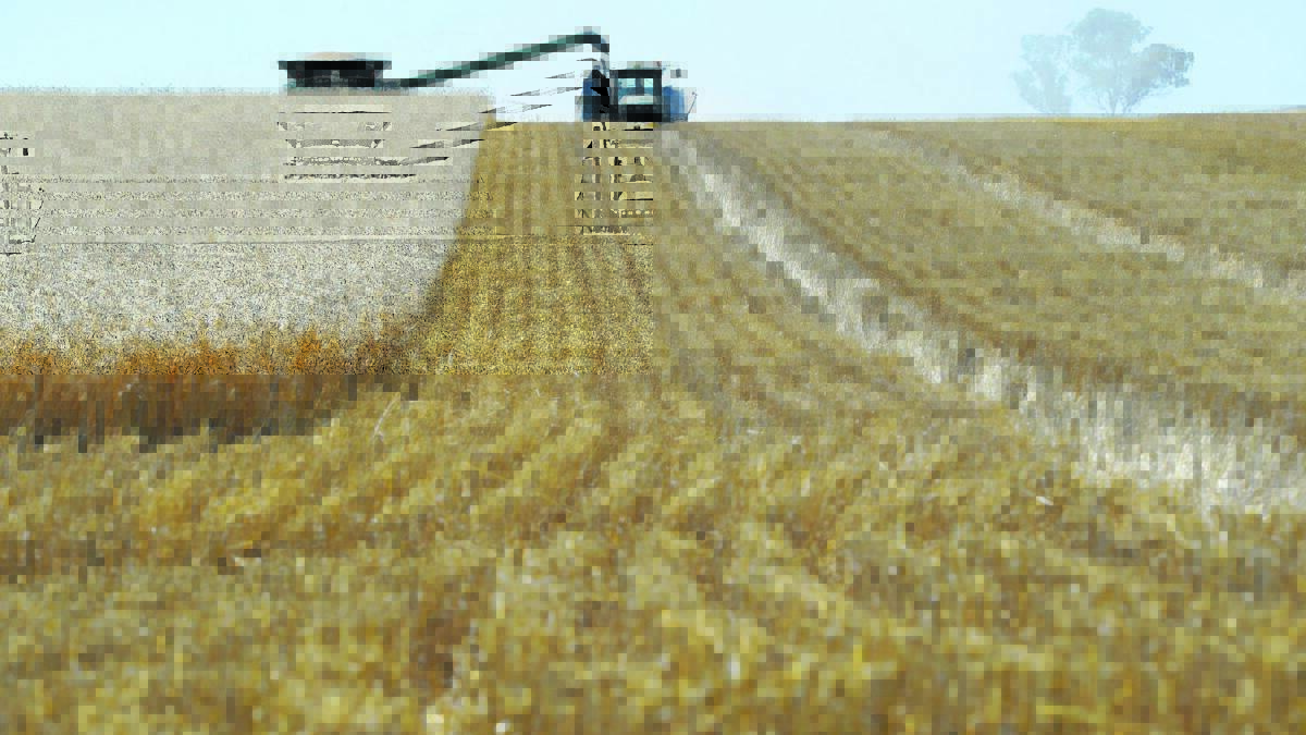 Grain Wrap | Poles apart grain production