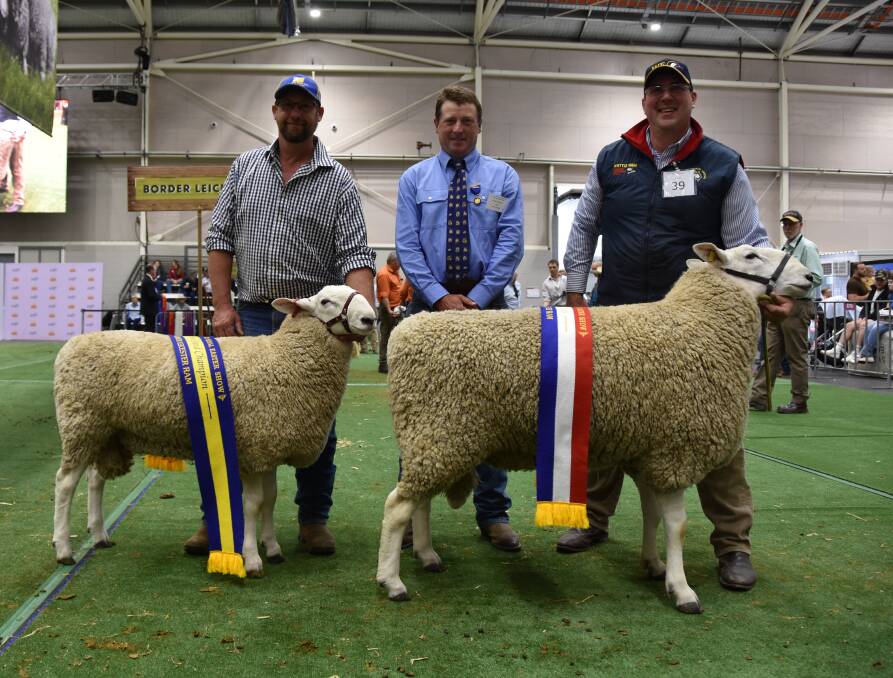 Reserve grand champion ram held by Jamie Buerckner, Bauer, Ariah Park; judge Ross Jackson, Moyston, Vic, and grand ram held by Jeff Sutton, Wattle Farm, Temora. Picture by Karen Bailey.