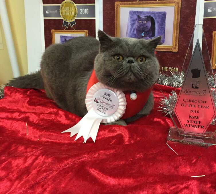 Buttons with his trophy.