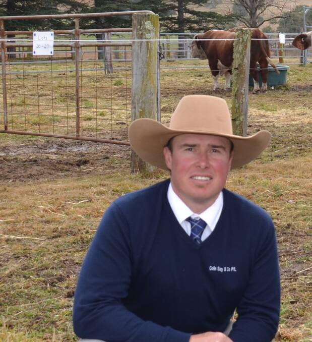 The AuctionsPlus NSW top cattle assessor was awarded to Shad Bailey, Colin Say and Company, Glen Innes.