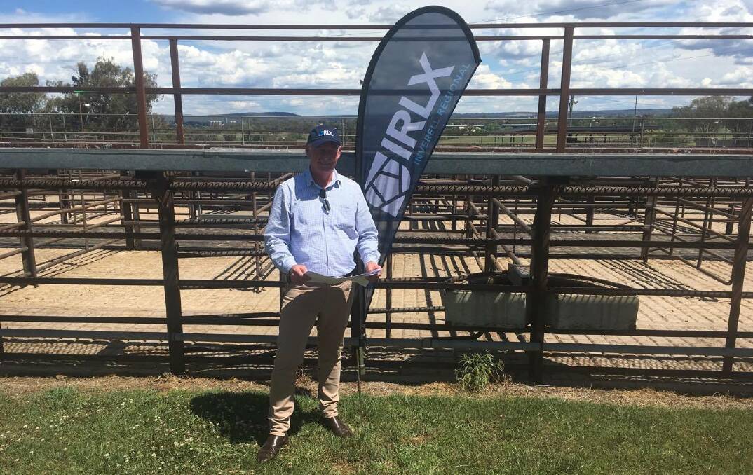 AAM Investment Group general manager of construction and compliance, Andrew McCarron, reviewing some of the plans for the redevelopment of the Inverell saleyards.