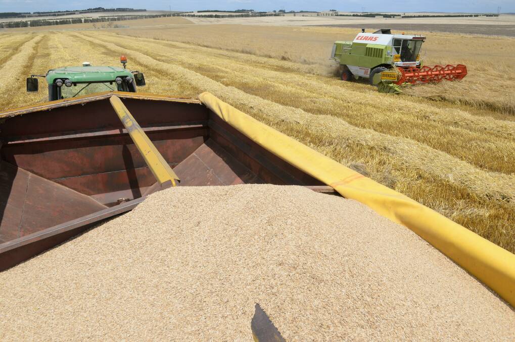 The average yield for wheat is expected to fall to 1.9 tonnes a hectare because of the drier than normal winter and early spring weather, as well as recent frost damage.