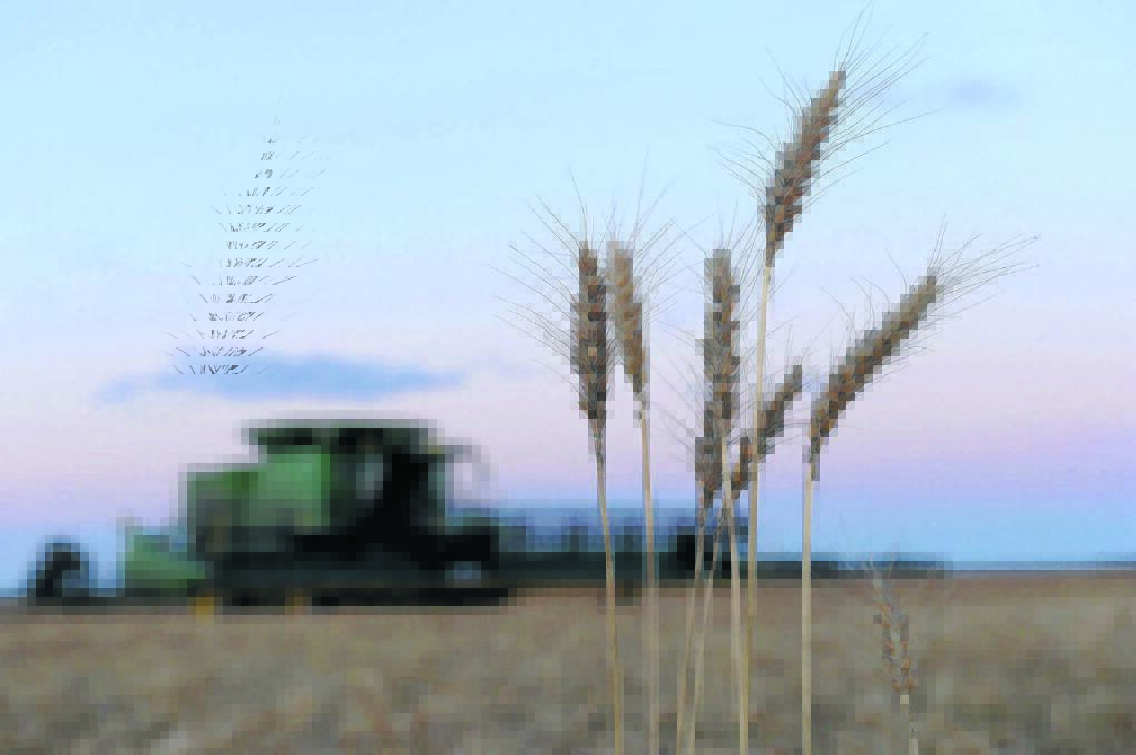 Grain Update | Big yields lift crop estimates