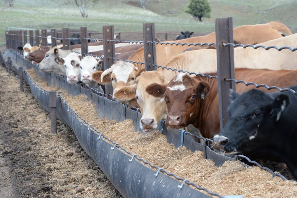Despite the modest decline in cattle on feed, there was 1,110,689 head on feed at the end of the year. 