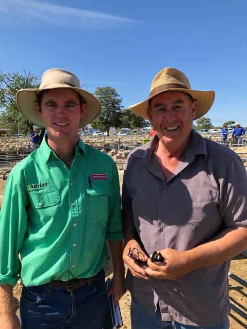 Jack Connell from Paull and Scollard/Nutrien with Peter Hodge, Grangemore, Katamatite, Victoria, who sold 151 lambs to a top $256 at the Corowa prime lamb sale on Monday. Photo by Corowa Associated Stock Agents. 