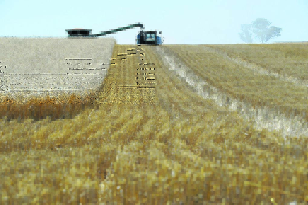 The abnormally dry weather over the past four months is likely to see Queensland’s wheat crop slip below one million tonnes for the first time since 2014.