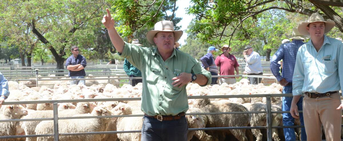 Landmark Wilson Russ auctioneer Marcus Bruce in action while selling at the Narromine sheep sale on Wednesday last week. Photo by Mark Griggs. 