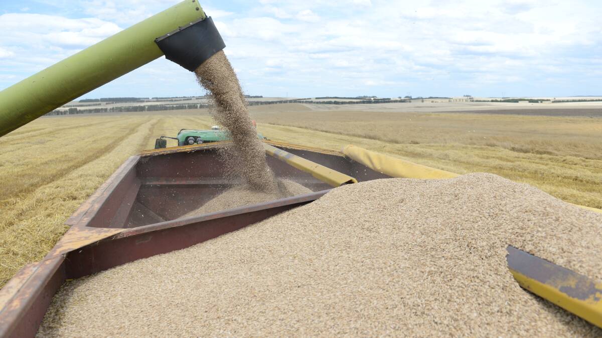 Grain Update | Record surge in grain supply