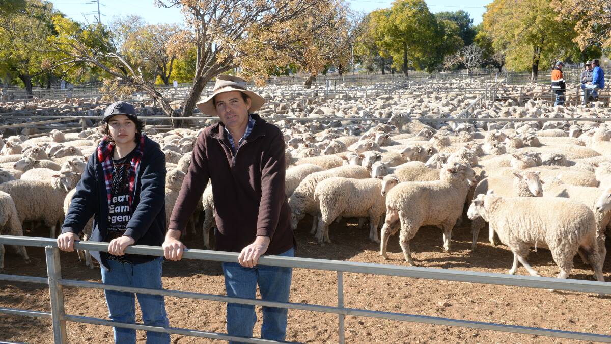 Glenn Turner and his son Isaac, “Rosebank”, Temora, were in the market for ewes at the Narromine store sheep sale on Wednesday last week.