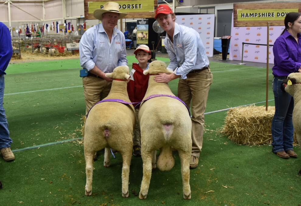 JA and MY Gilmore Perpetual Trophy went to Tattykeel Poll Dorset stud, Oberon. Graham, Hudson and James Gilmore are pictured with the ram and ewe. Picture by Karen Bailey.