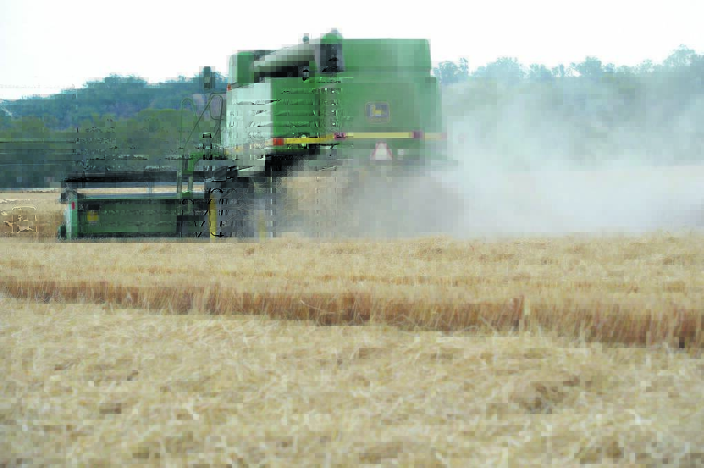 Grain Update | Europe raises the red flag