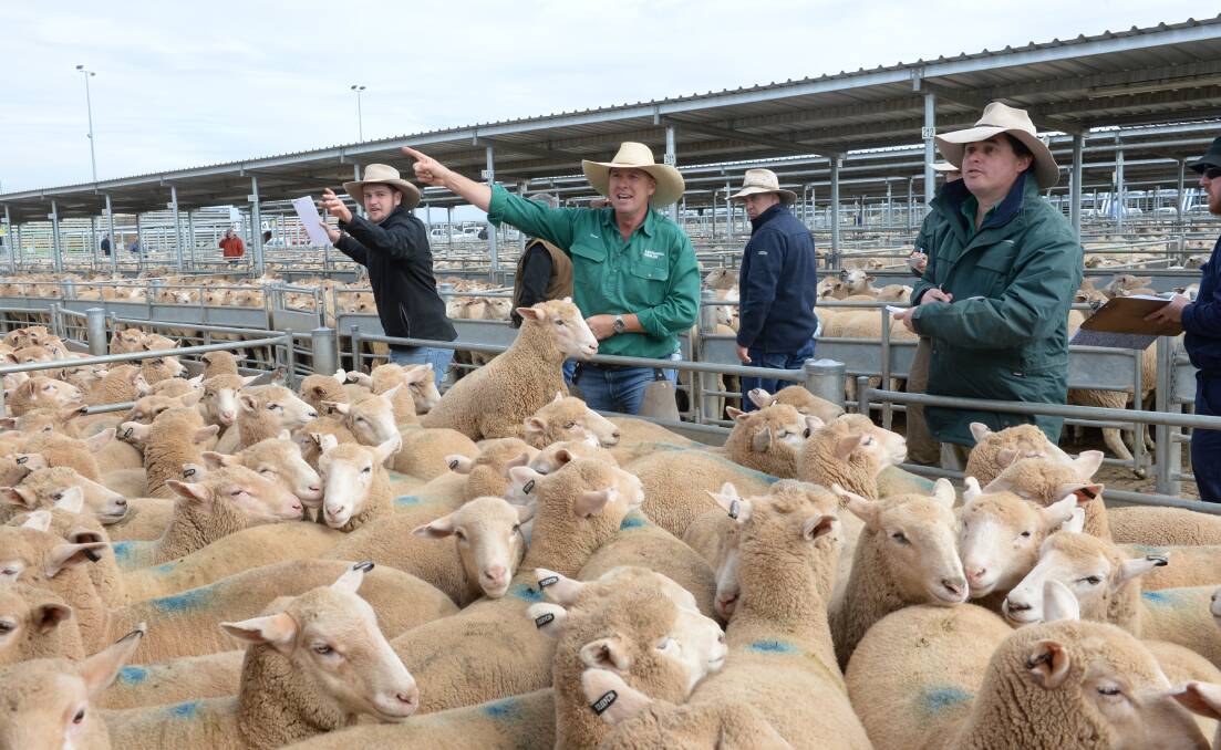 Langlands Hanlon principal Geoff Rice, Parkes, auctioning lambs during the Forbes prime sheep and lamb sale at the Central West Livestock Exchange.