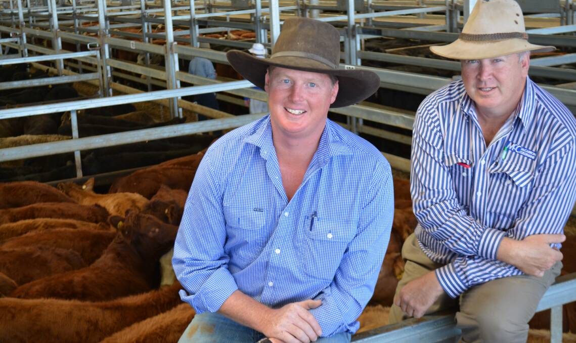 Ashley Clark, "Rockdell", Lyndhurst, sold 150 mixed-sex Limousin-cross weaners with the top pen making $920/head. He is with his agent Lindsay Fryer, McCarron Cullinane, Orange, at the Carcoar sale last Friday.