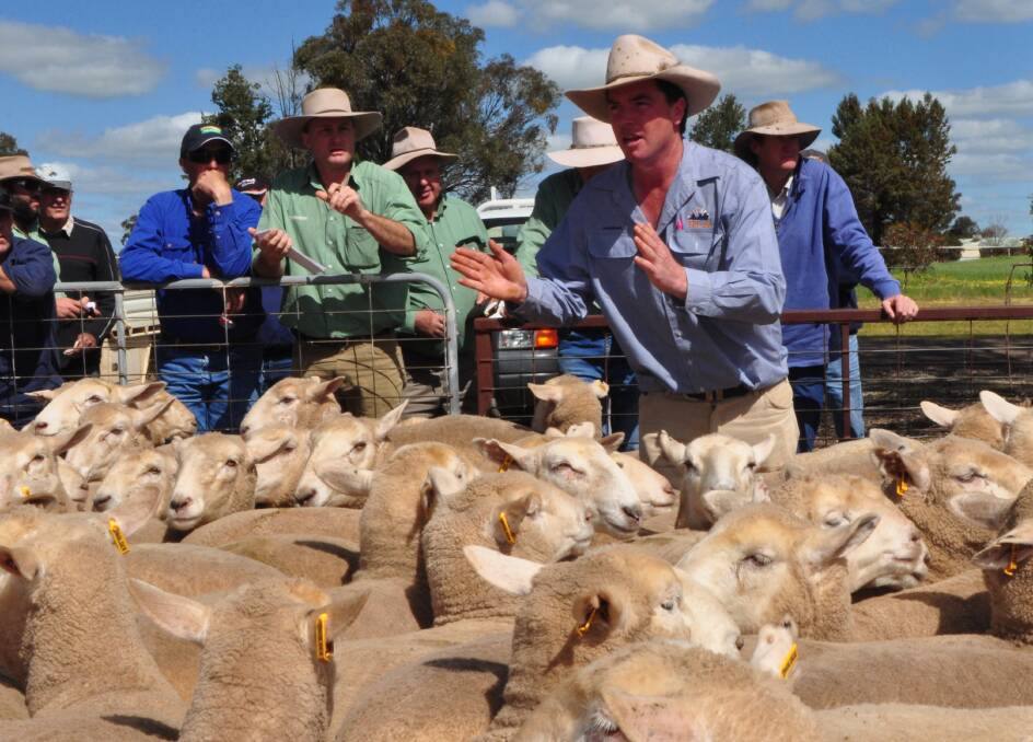 Riverina Livestock Agents auctioneer James Tierney, Wagga Wagga, taking bids during a Temora first-cross ewe sale. “The young auctioneers’ competition certainly worked in my favour,” he said. “The win gave me credibility."