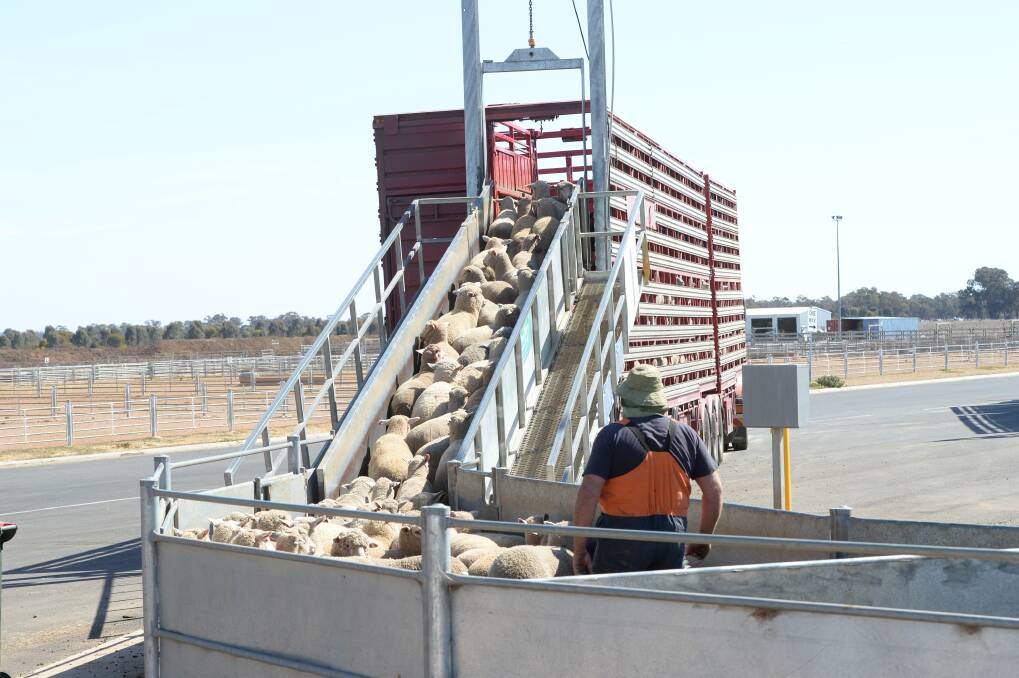 'New normal': saleyards and rural supplies