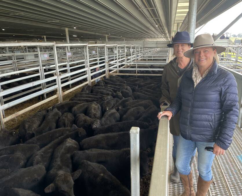 Ginny and Jacinta Hennessy, Adelong Park, Glanmire, sold 100 weaners at Carcoar last Friday. Their top pen made $1235 a head. Photo: Karen Bailey