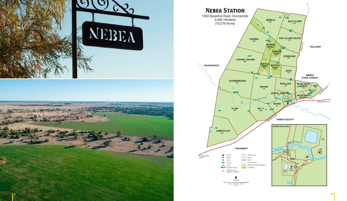 Nebea remains on the market