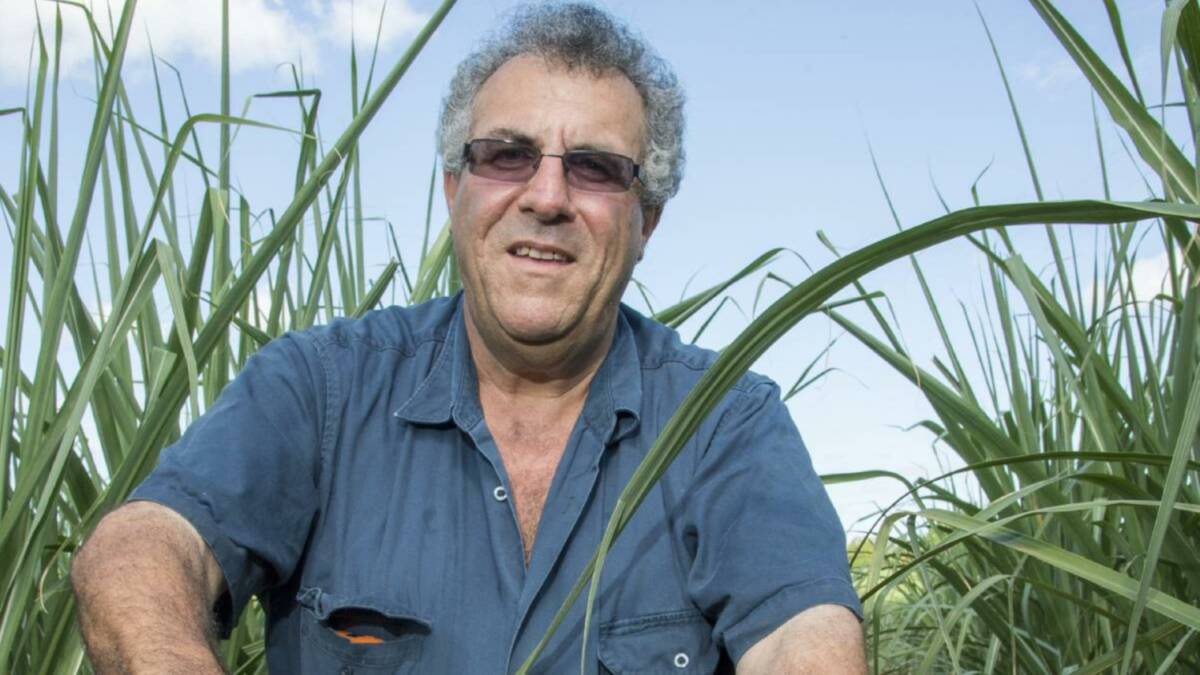 SUGAR CODE: CANEGROWERS chairman Paul Schembri says Senator David Leyonhjelm had failed to even speak with Queensland growers and their representatives.