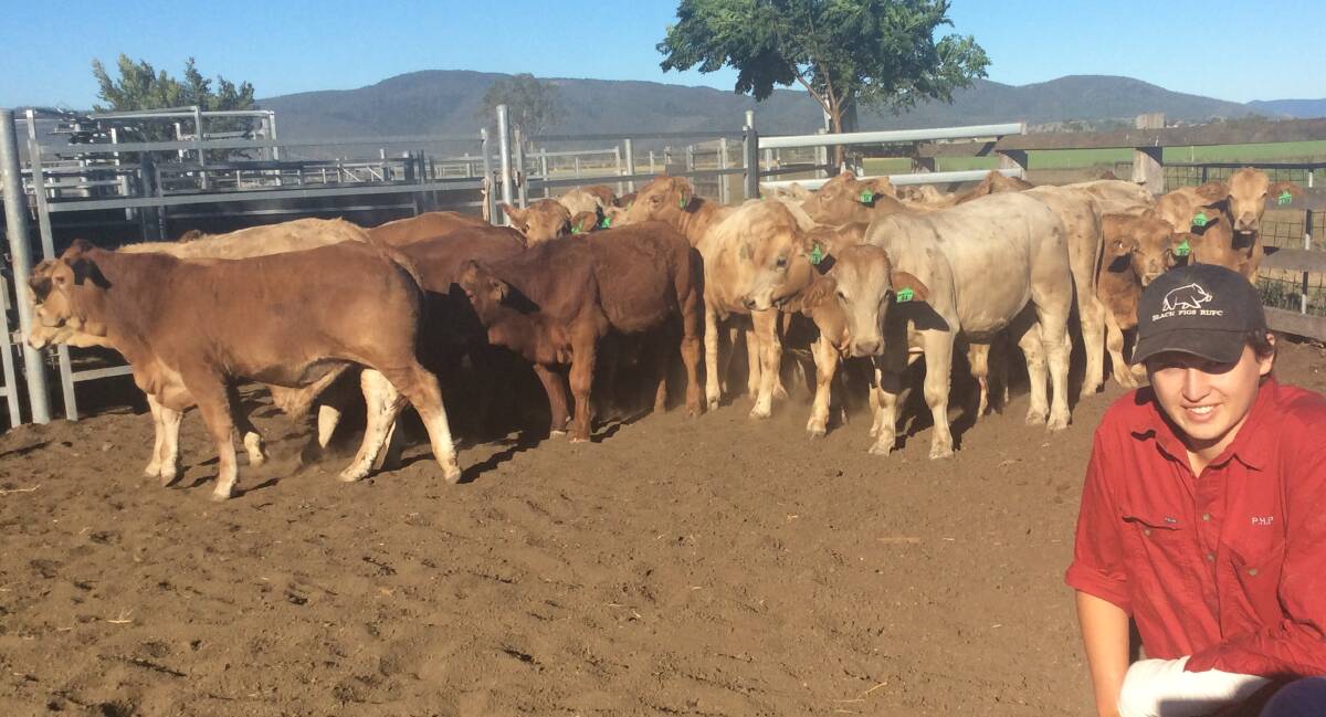 Hamish Pulsford, Hamstead, Toogoolawah, with some of the Pulsford family's 140 Charbray weaners to be offered on May 15. 