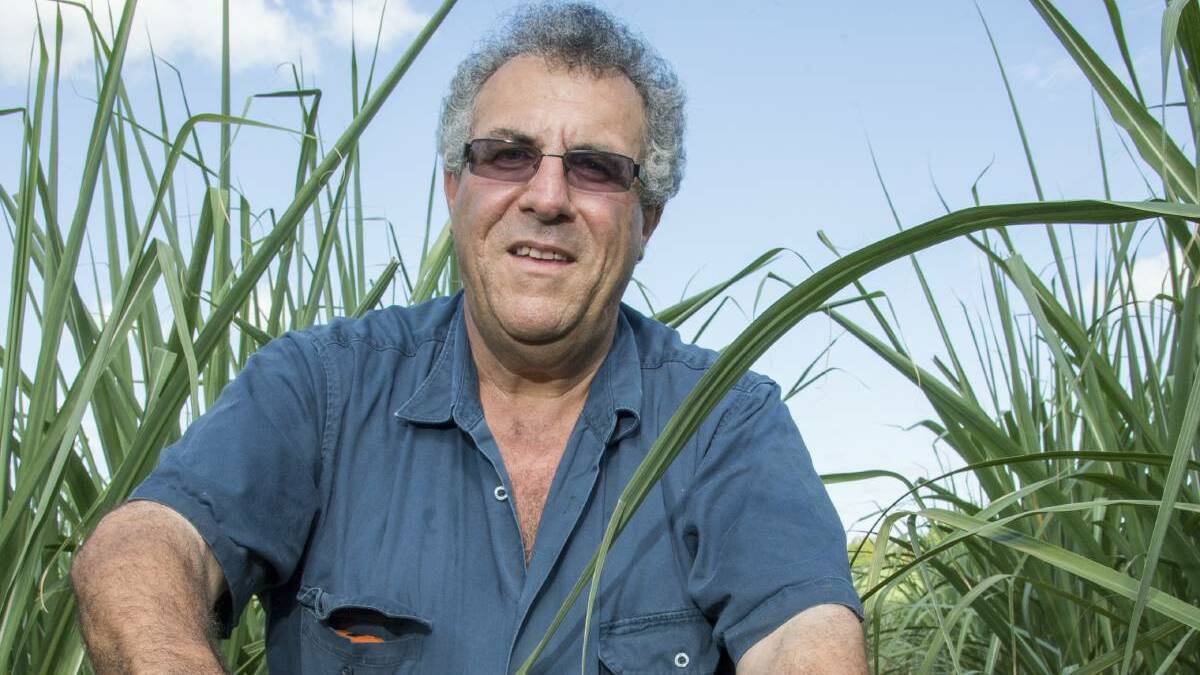 TRADE DEAL: CANEGROWERS chairman Paul Schembri says the Australian Government should still pursue the Trans Pacific Partnership despite the US pulling out.