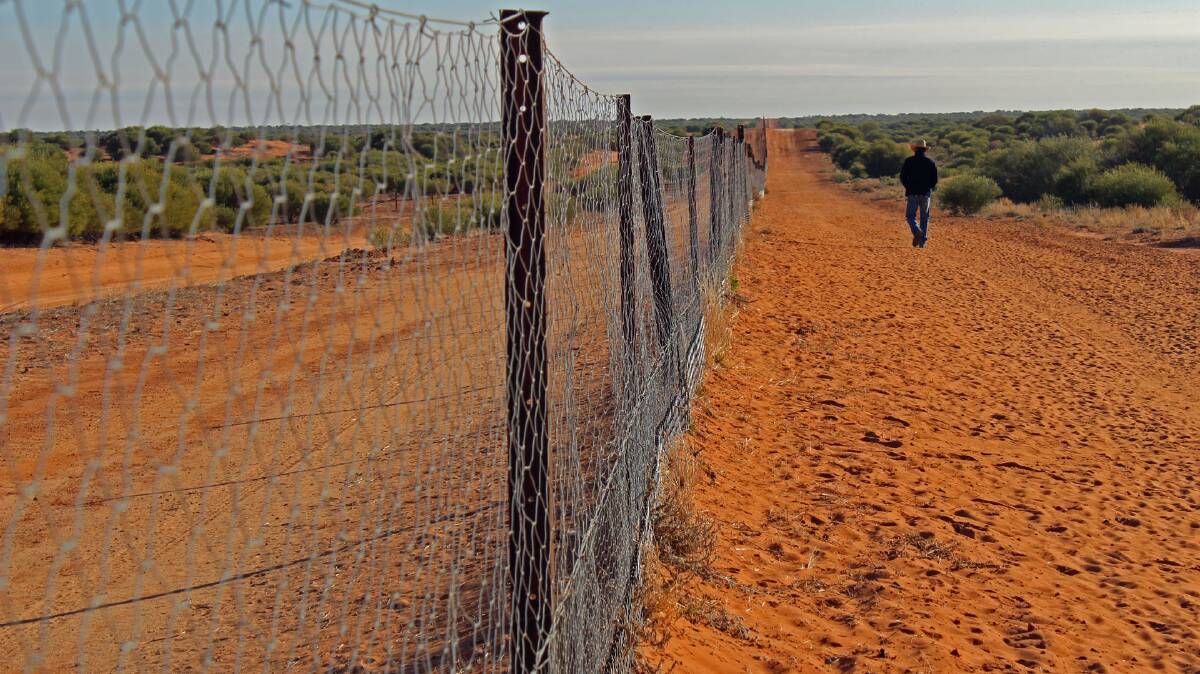 LINKED UP: The wild dog fence spans from Queensland through NSW across into South Australia.