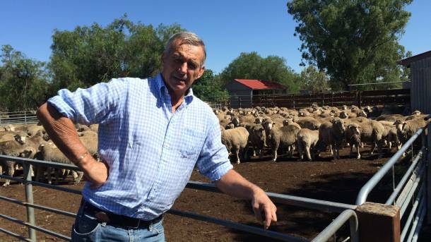BETTER EWES: Stuart Hodgson from AWI will present sheep classing schools in Mitchell and Goondiwindi next week.