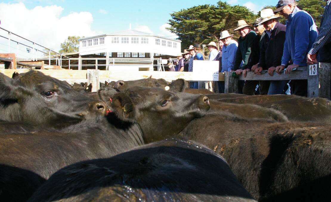 The historic rotunda cattle sales ring still stands proud of former glory days at the Casterton saleyards in Victoria's deep southwest