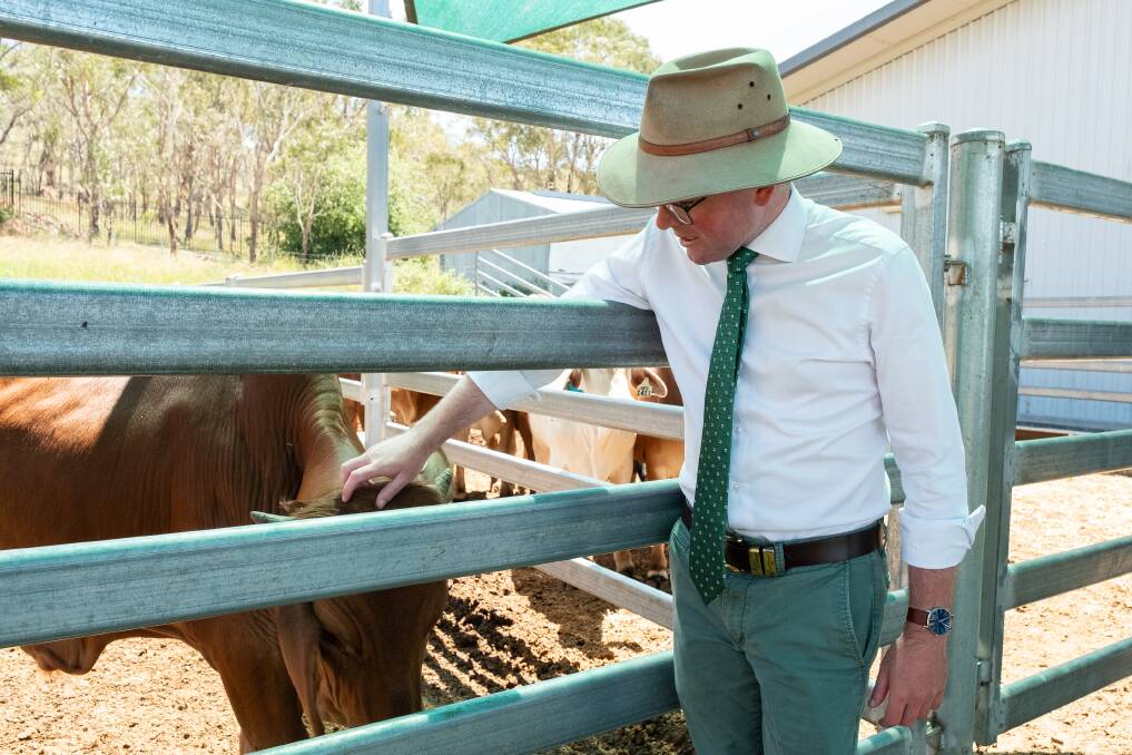 Agriculture Minister Adam Marshall says the new amendments to the animal cruelty bill would see up to an eight-fold increase in financial penalties and gaol time.