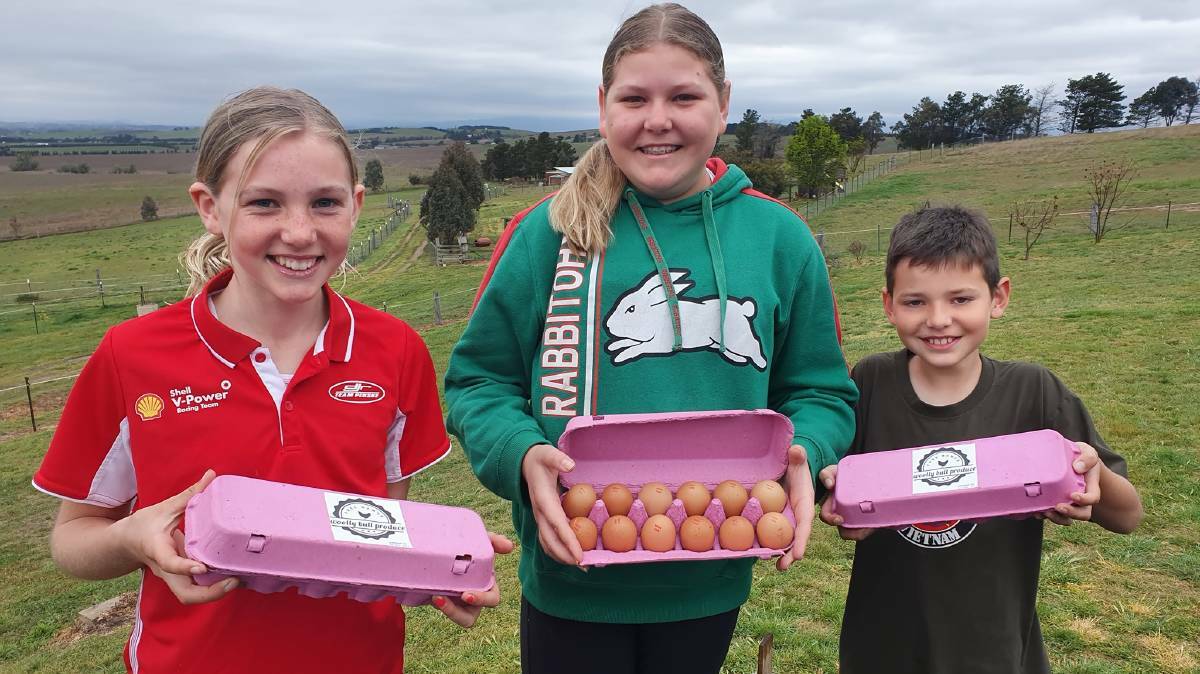 Meet the kids who transformed a tennis court into a booming egg business