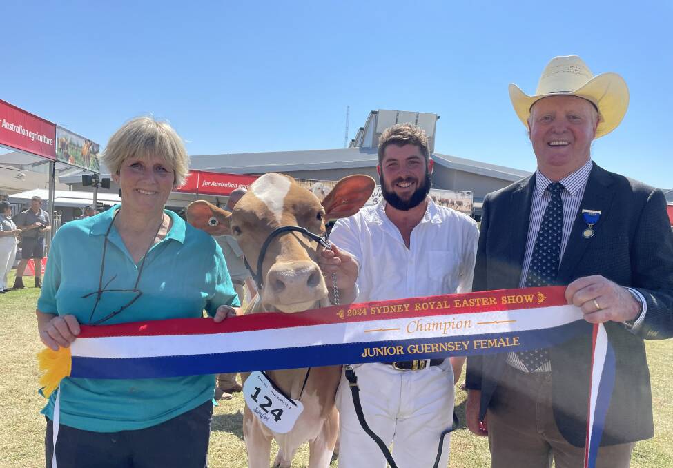 Shirleen Evans, Laceby Victoria with junior heifer Guernsey champion Glamorous Kakadu Barbell and parader Alexz Crawford and judge Brian Leslie