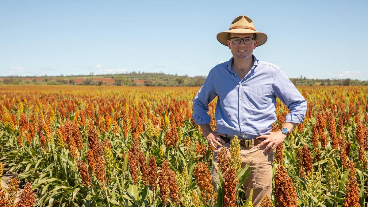 NSW Agriculture Minister Adam Marshall says: "we have heard loud and clear that the cost of mandatory quarantine is a significant barrier for farming businesses wanting to employ overseas workers". Photo: NSW DPI