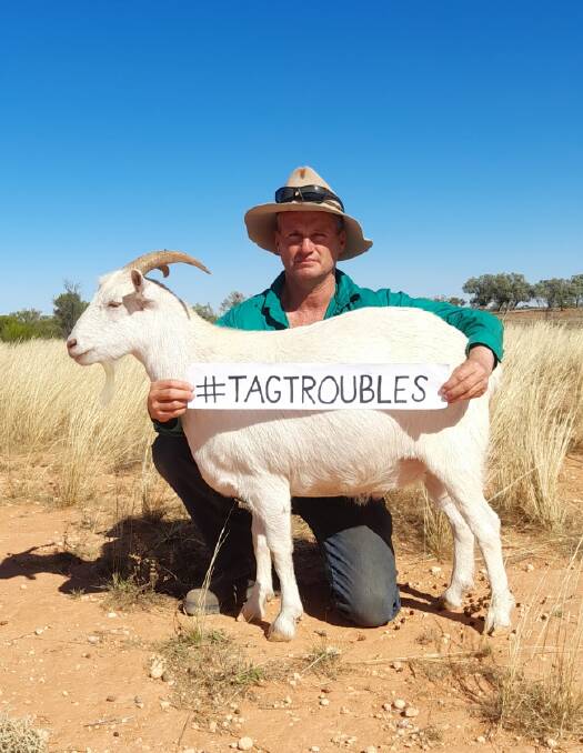 Pastoralists Association of West Darling councillor Lachlan Gall has launched a social media campaign #tagtroubles to inform producers about the issues around eID ahead of an information session hosted by the government at Broken Hill. Picture: Jo Gall
