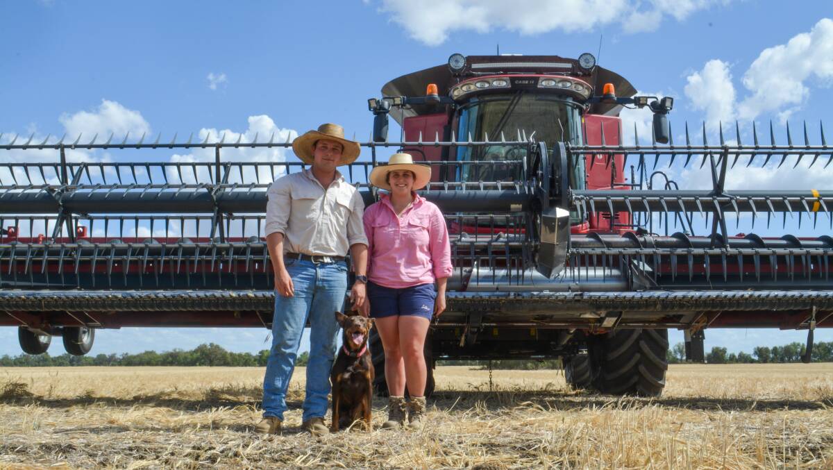 Siblings Will and Josie Bartel with dog Hoss mid harvest on the family property, Greenbah, near Moree. Picture by Elka Devney.