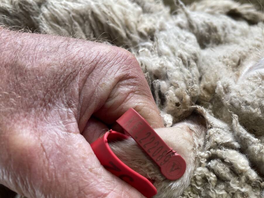 WoolProducers general manager Adam Dawes says NSW has come up with money for the nice haves with autodrafters, but not grower support for the fundamental part of the system, which is ear tags.