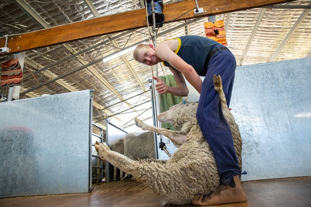 Brendon Williams, 16, is the first student to undertake the school-based traineeship in New England. He is working with Top of the Range Shearing Pty Ltd in Guyra.