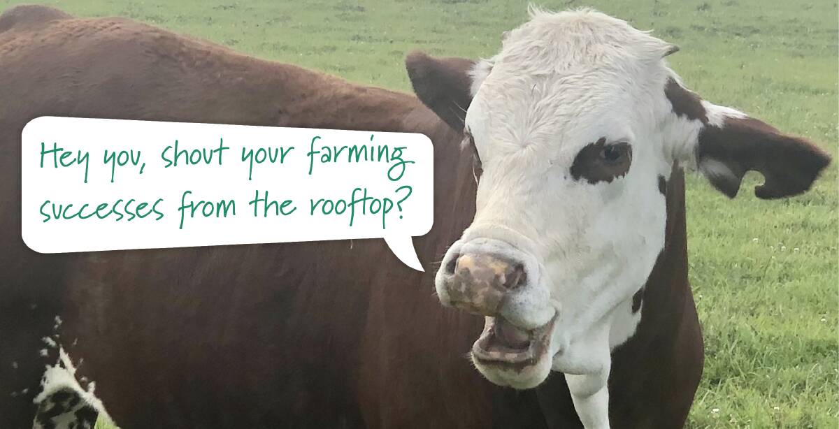 This Braford steer agrees you are certainly not "up yourself' if you promote why you love what you do.