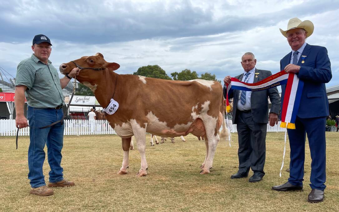 Daniel Clarke with Glencrest Judgement Valmay who won Guernsey senior female champion and best senior udder, also pictured with judge Brian Leslie (right) and Kevin Everett. Pictures by Samantha Townsend 