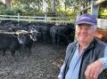Geoff Gosling, Macksville, sold 42 Angus weaners at Kempsey Stock and Land's feature sale on Thursday. Picture by Samantha Townsend