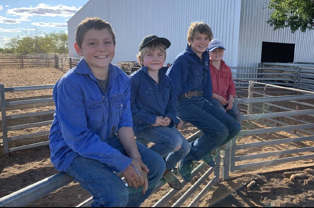 The Siemer kids from from Coally Station Ned, Archie, Jack and Finn. Photo: Tennille Siemer